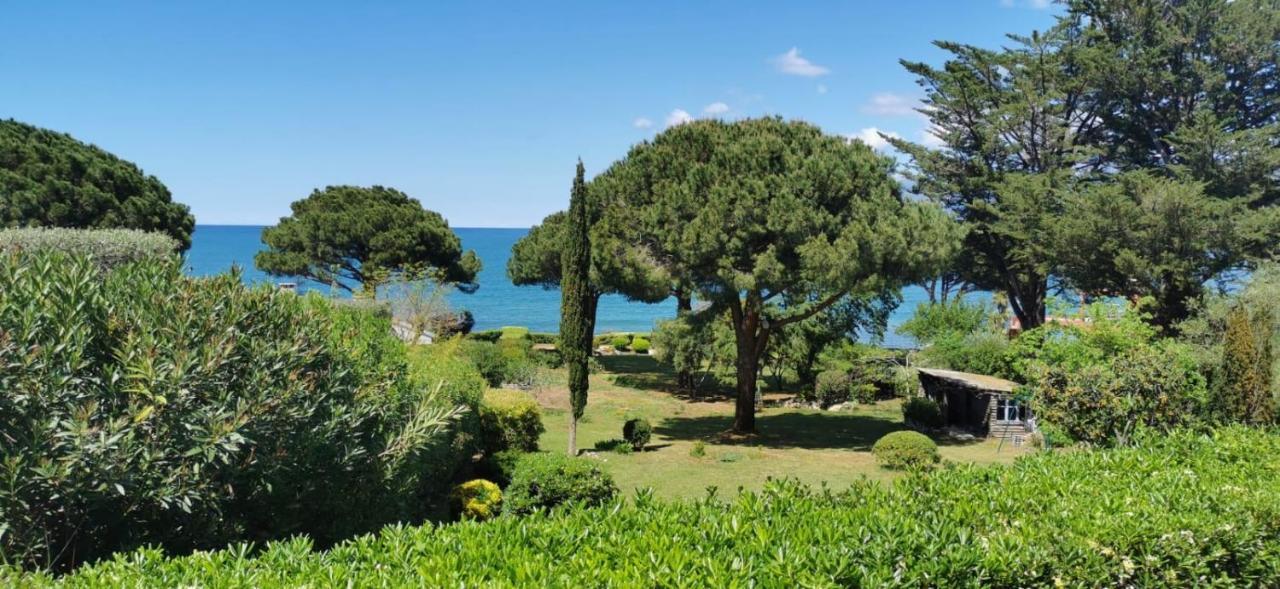 Villa I Merli Nous Contacter Avant Reservation Сен-Флоран Екстериор снимка